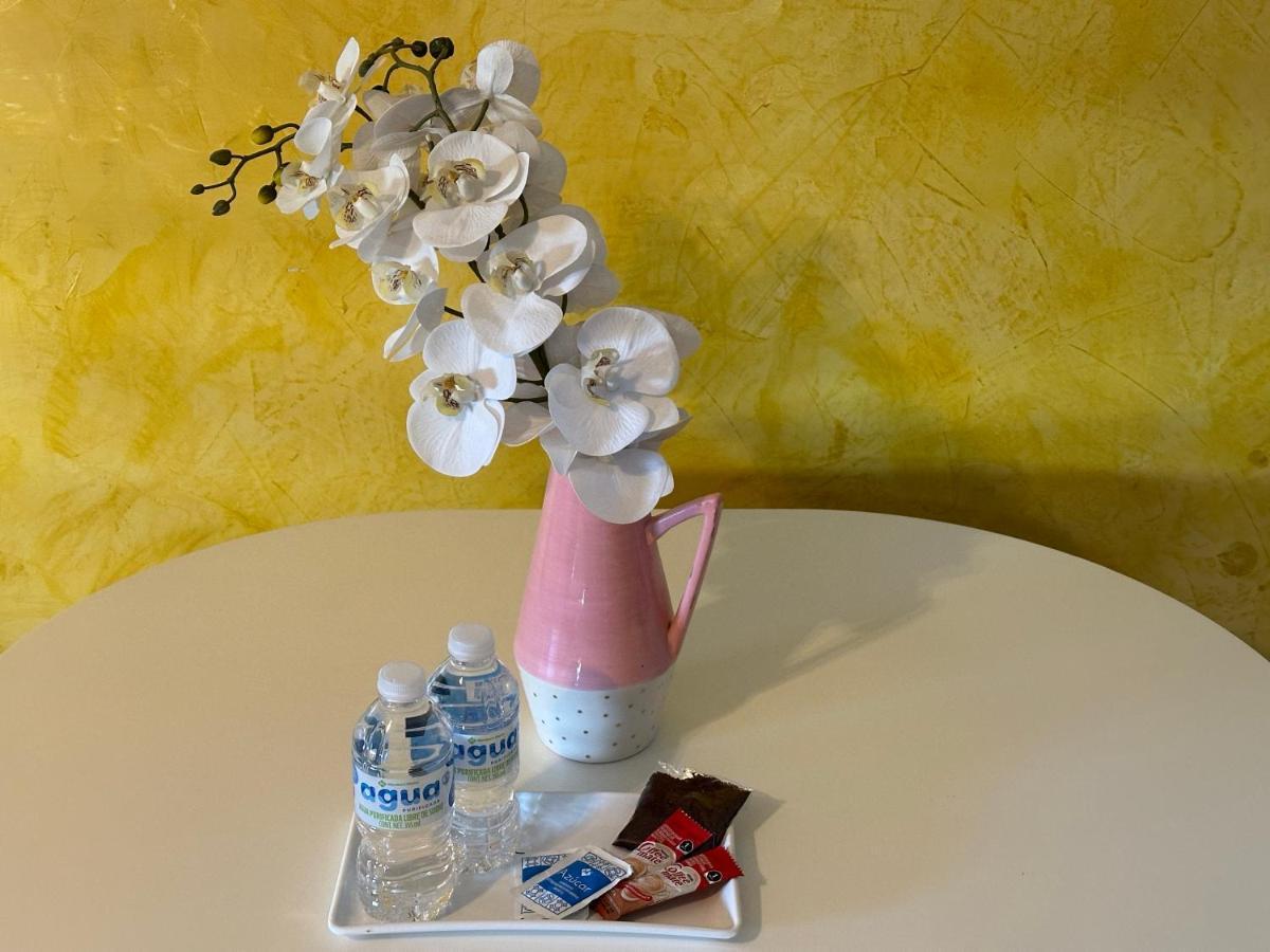 Suites Brisa Marina - Atras De Playa Regatas Y El Malecon, 6 Calles Del Acuario 韦拉克鲁斯 外观 照片
